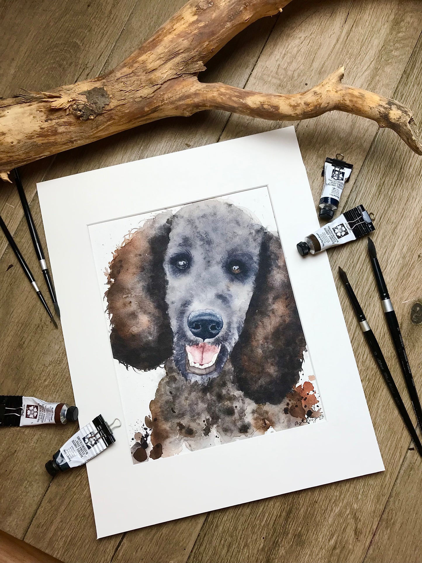 Pet Portrait Commission