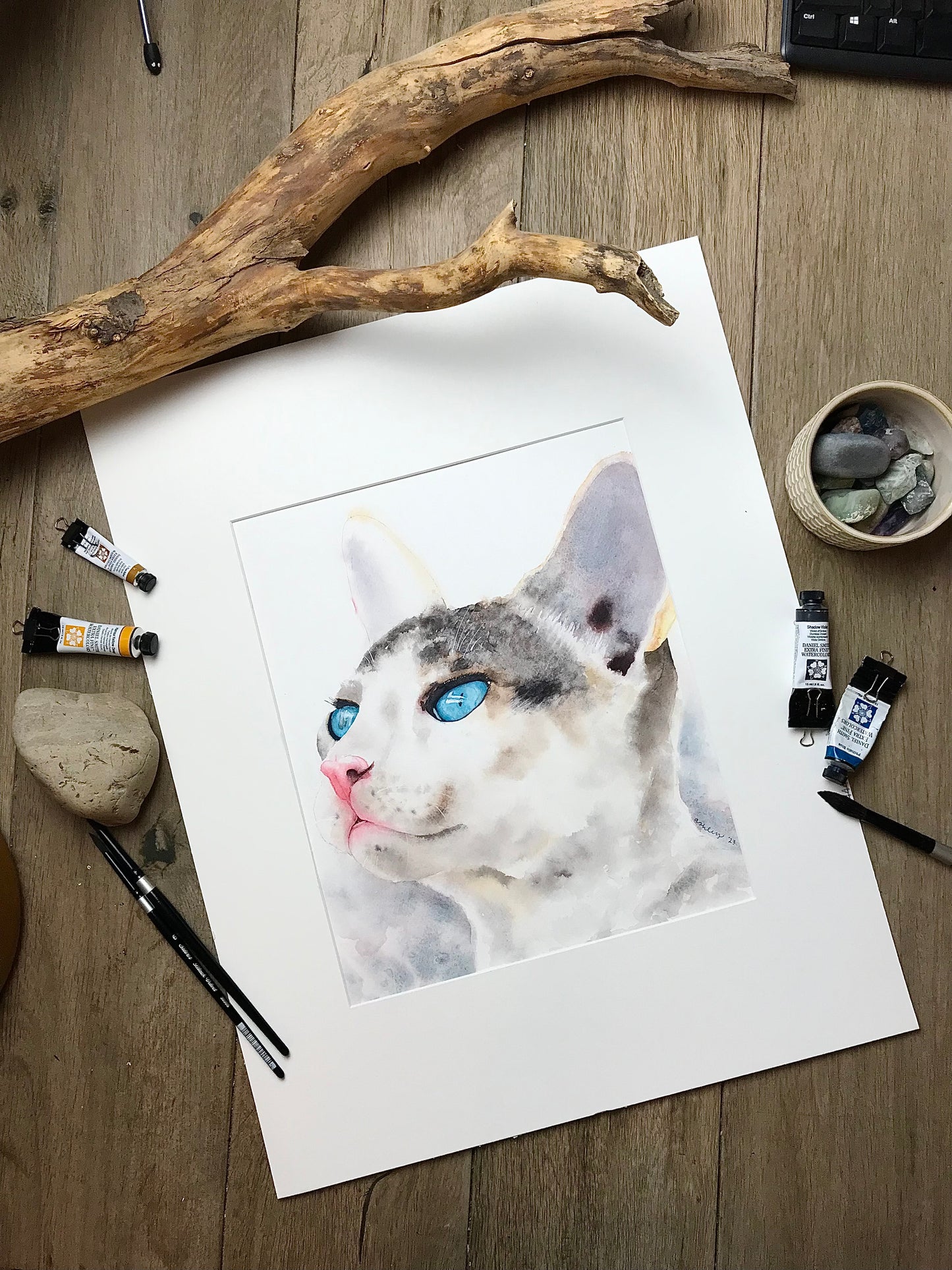 Pet Portrait Commission