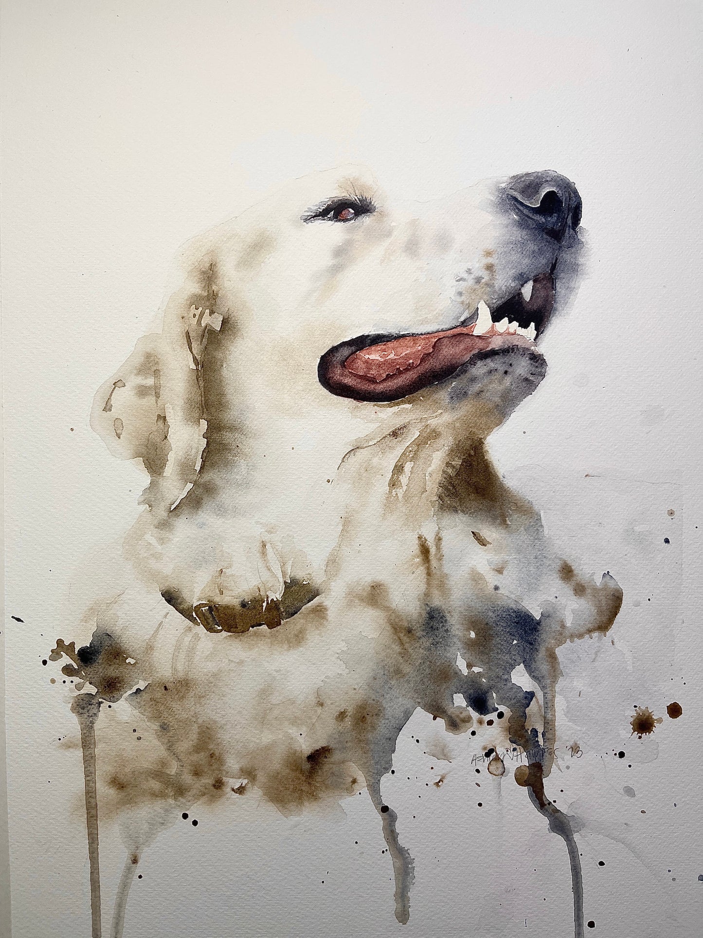 Pet Portrait Commission