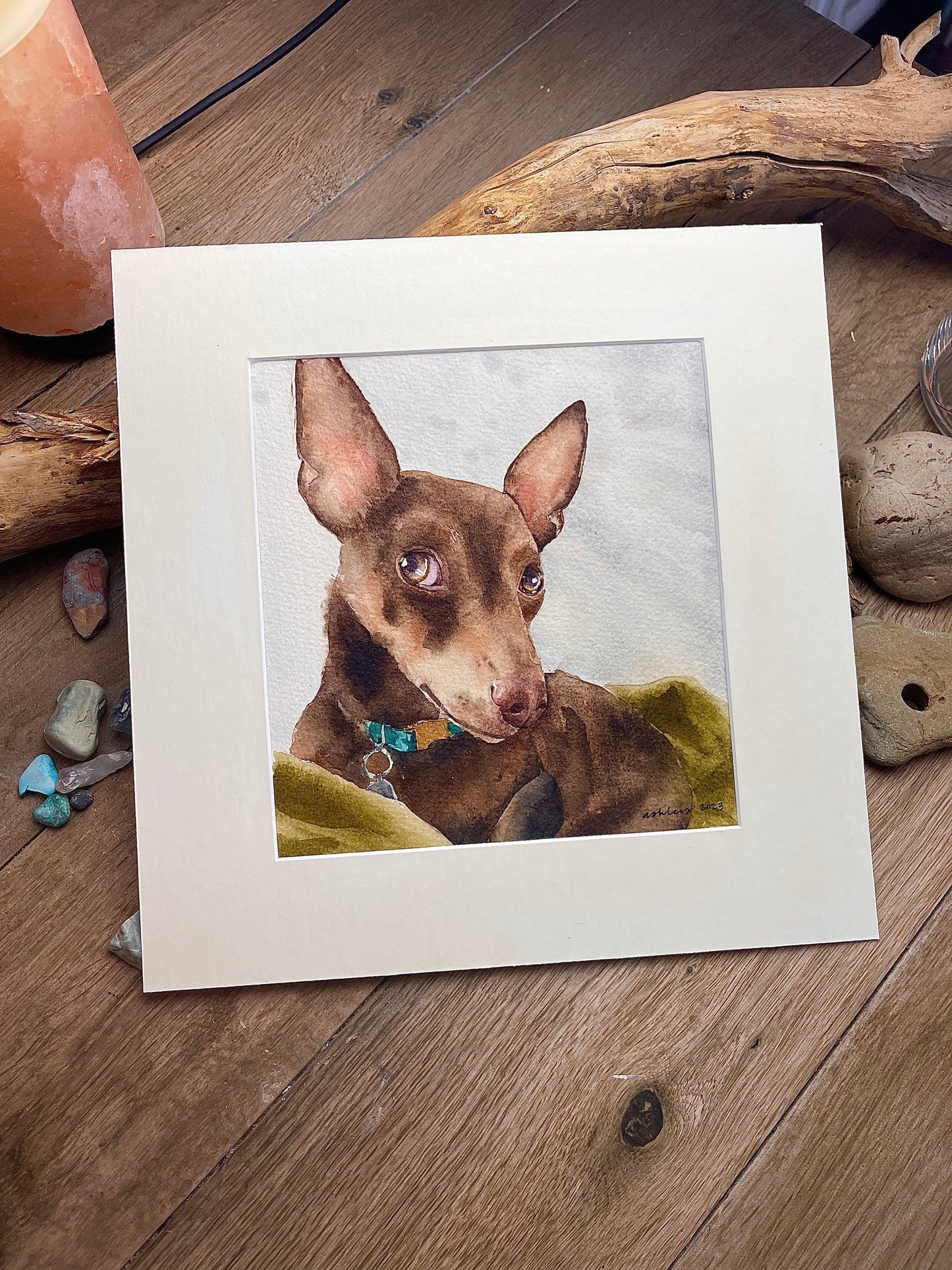 Pet Portrait Commission