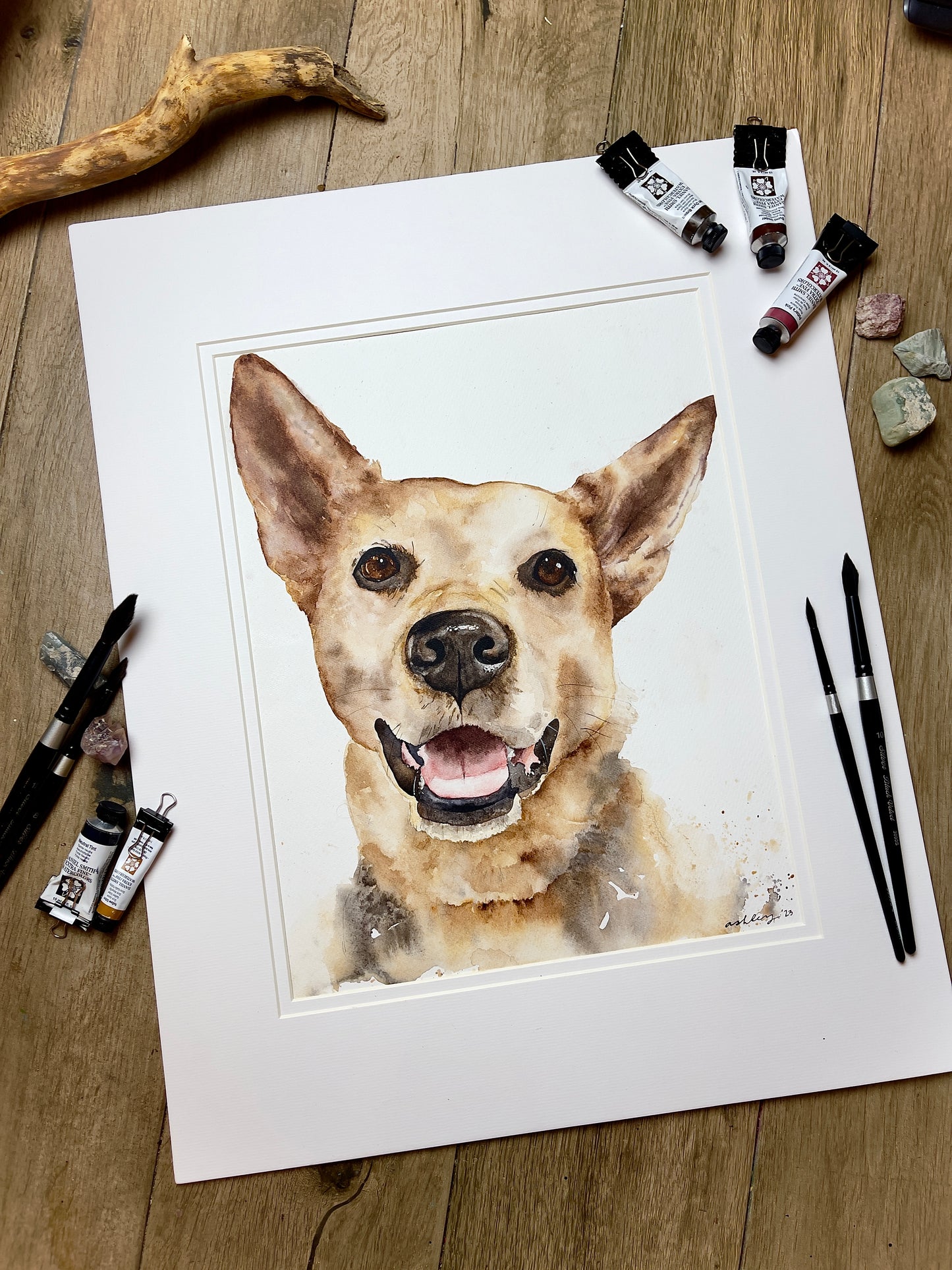 Pet Portrait Commission