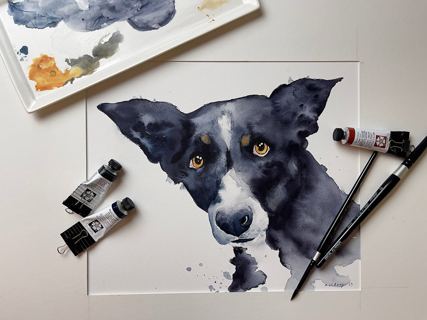 Pet Portrait Commission