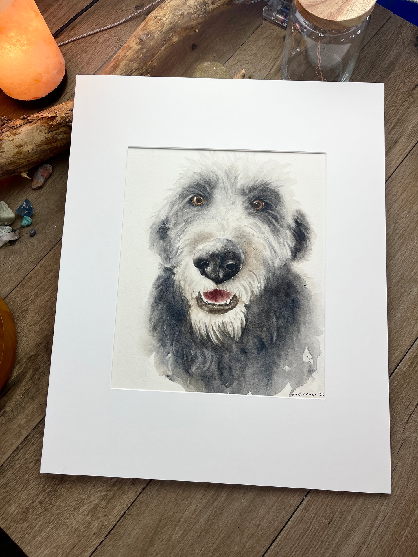 Pet Portrait Commission